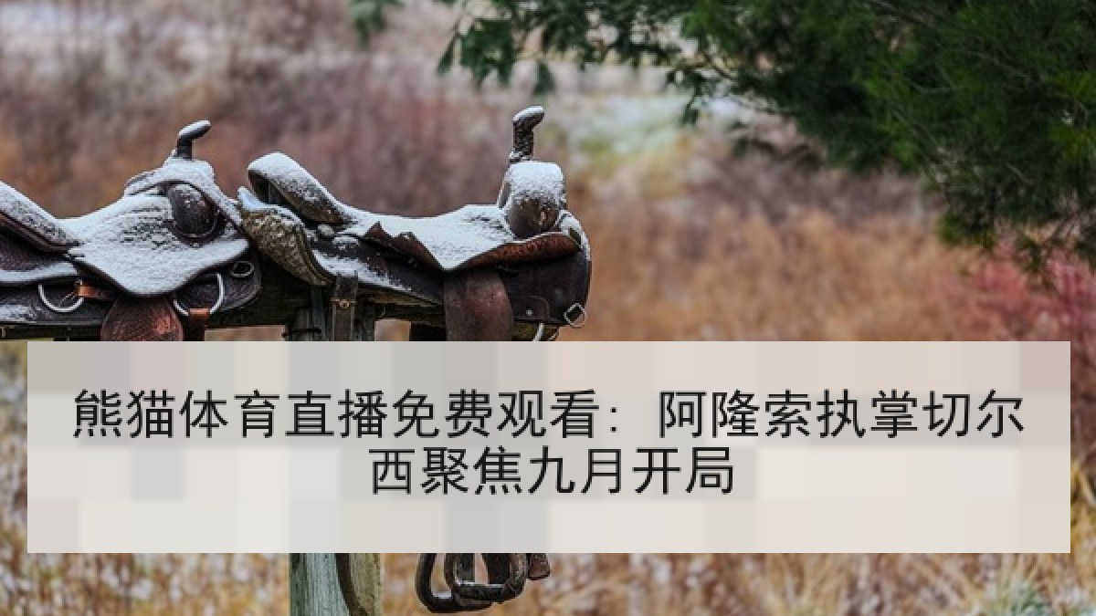 熊猫体育直播免费观看: 阿隆索执掌切尔西聚焦九月开局
