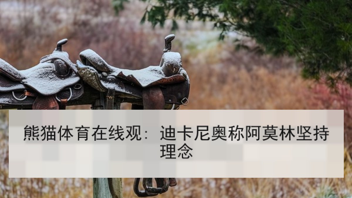 熊猫体育在线观: 迪卡尼奥称阿莫林坚持理念
